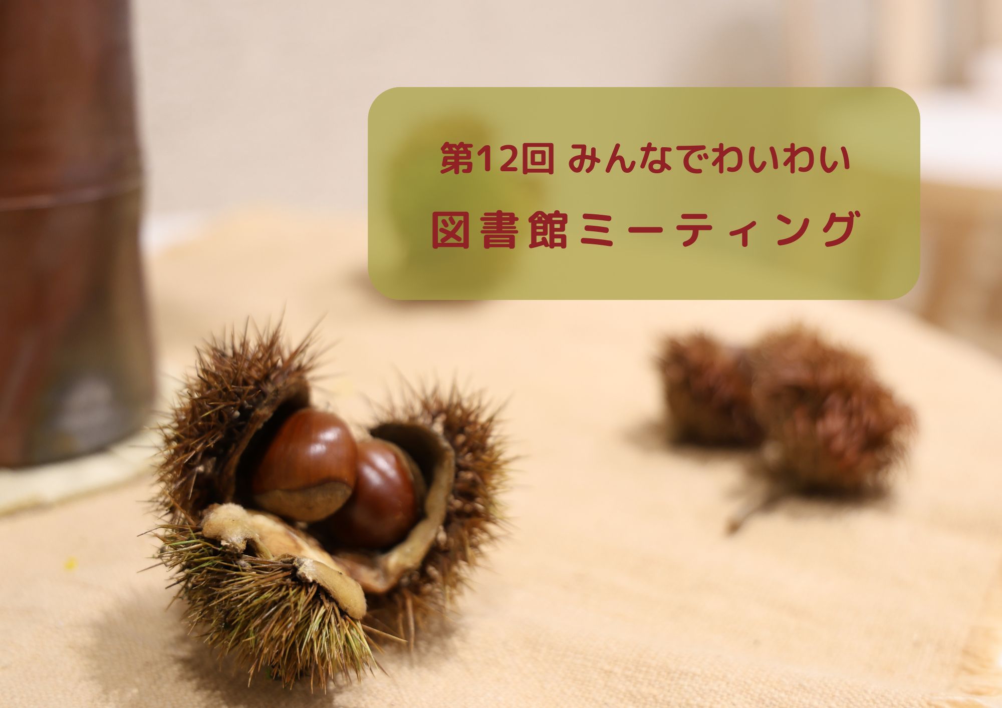 第１２回みんなでわいわい図書館ミーティング