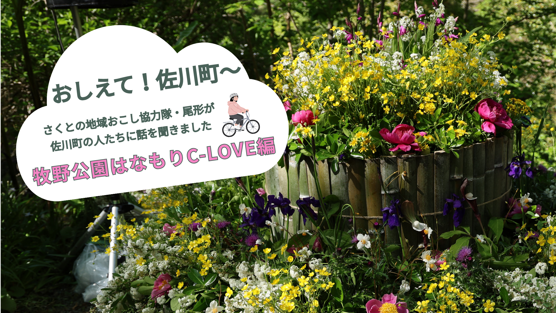 【おしえて！佐川町〜　2026年5-6月】〜牧野公園はなもりC-LOVE 編〜